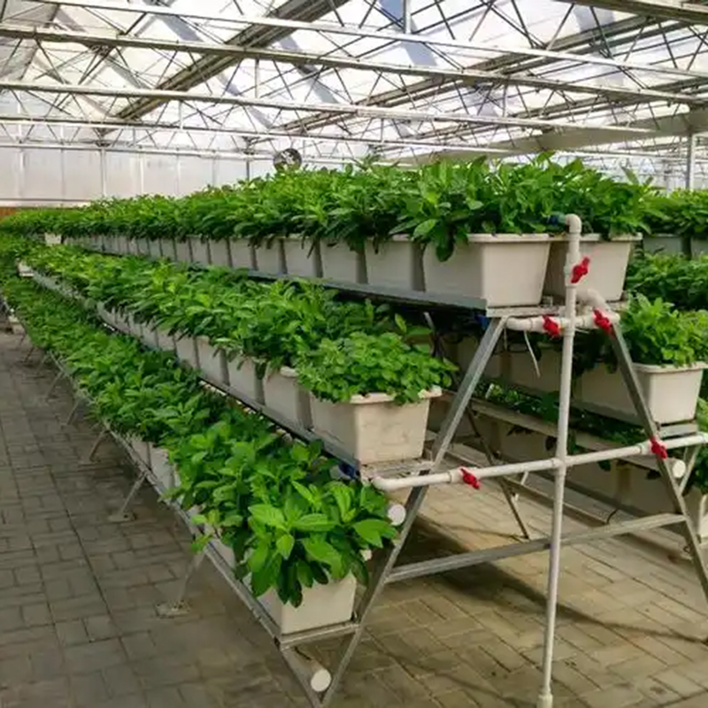 潍坊市植物工厂玻璃温室 - 一站式服务